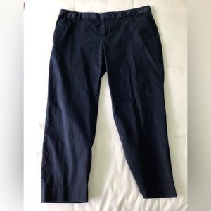 Pants - Banana Republic, Hampton